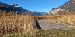 Urnersee_Delta